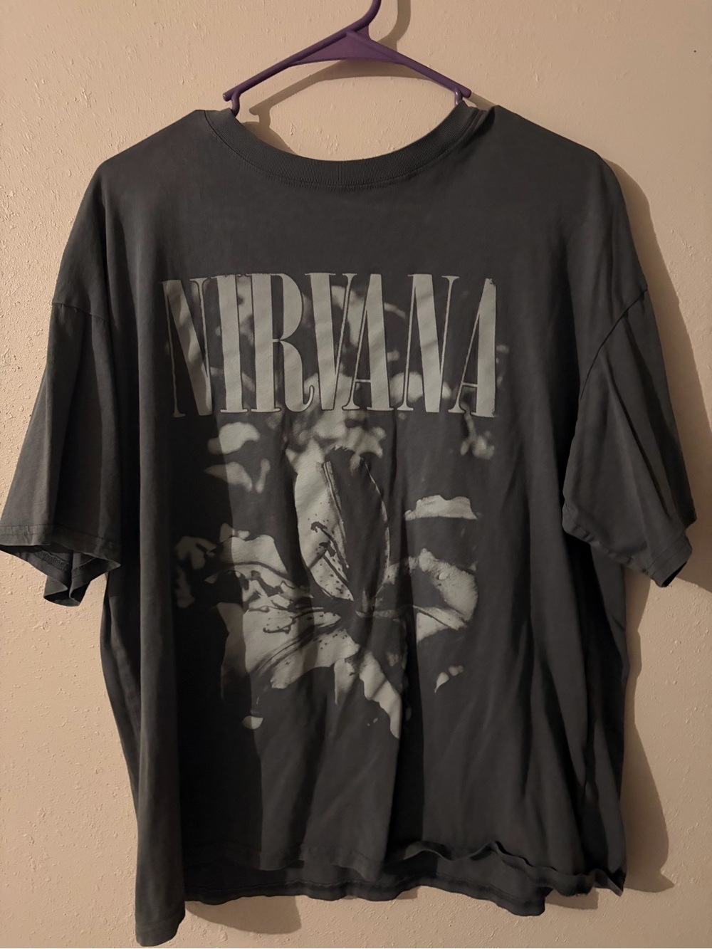 Divided Nirvana Graphic Tee — Charcoal